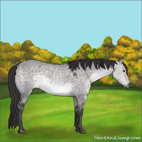 Horse Color:Platinum Buckskin Dun Rabicano 