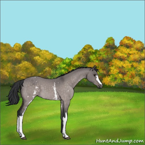 Horse Color:Platinum White Spotted Brown Dun 