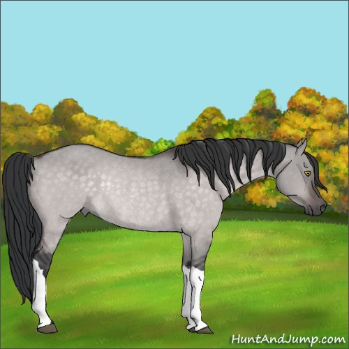 Horse Color:Platinum Brown Dun Rabicano 