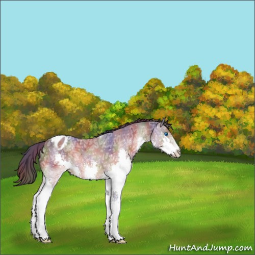 Horse Color:ERROR: UNKNOWN ANOMALY