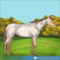 Horse Color:Bay Roan Pearl 