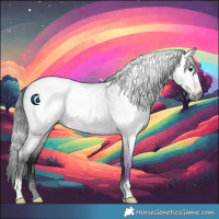 Horse Color:Gray Bay Roan 
