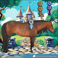 Horse Color:Bay Rabicano 