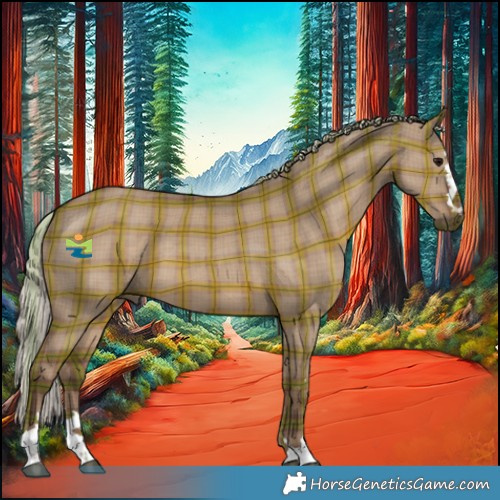 Horse Color:Plaid  Silver Grullo 