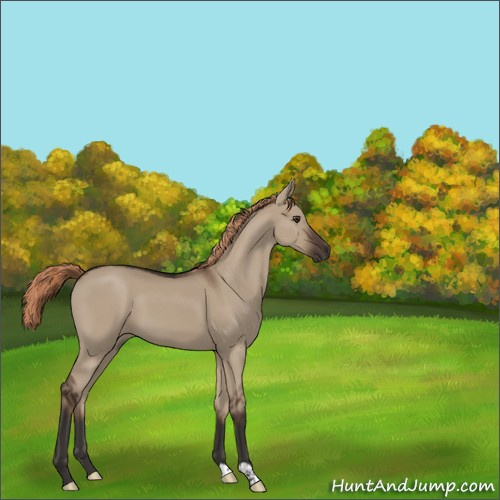 Horse Color:Liver Red Dun 