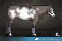 Horse Color:Smoky Grullo Frame 