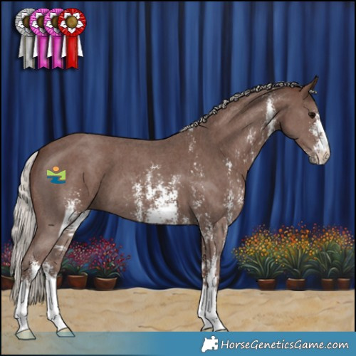 Horse Color:Silver Black Sabino 