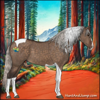 Horse Color:Silver Brown Dun Sabino Tobiano 