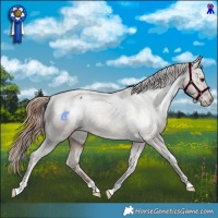 Horse Color:Liver Red Dun Varnish 