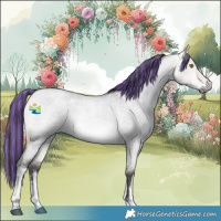 Horse Color:Platinum Painted White Spotted Buckskin Roan Dun Rabicano 
