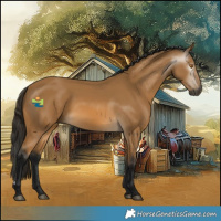 Horse Color:Gray Buckskin 