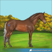 Horse Color:Silver Bay 