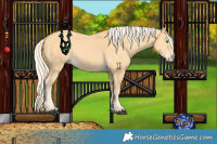 Horse Color:Palomino Dun Splash