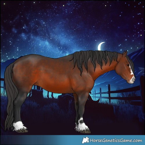 Horse Color:Brown 