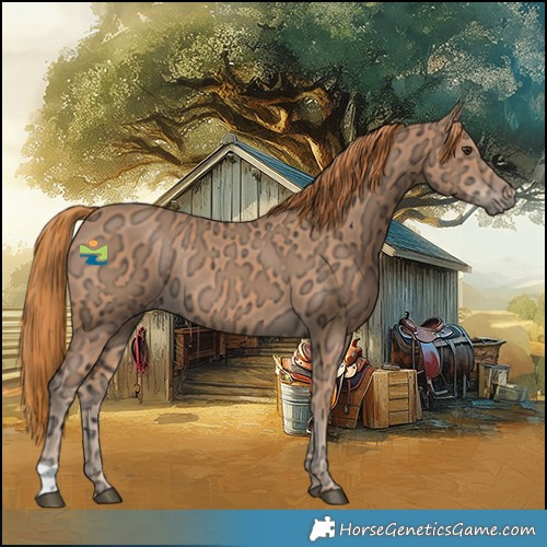 Horse Color:Chestnut Ice Rabicano 