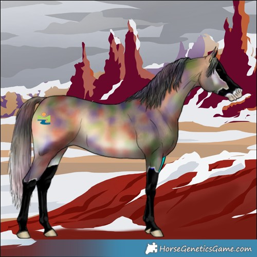 Horse Color:Nacre Buckskin Onyx Splash 