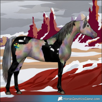 Horse Color:Nacre Brown Dun Tobiano 