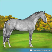 Horse Color:Silver Grullo Chinchilla 