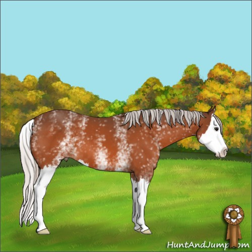 Horse Color:White Spotted Silver Bay Splash 