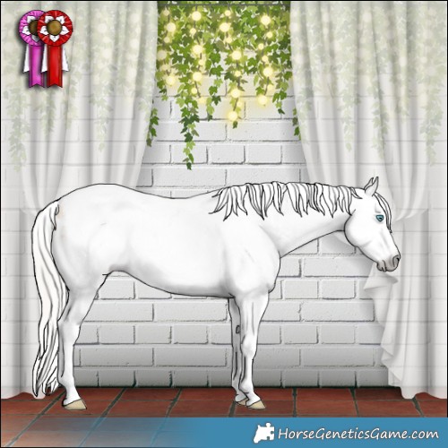 Horse Color:Gray White Spotted Silver Buckskin Pearl Dun Splash Tobiano Appaloosa Rabicano 