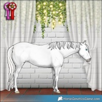Horse Color:Gray White Spotted Silver Buckskin Pearl Dun Splash Tobiano Blanket Rabicano 