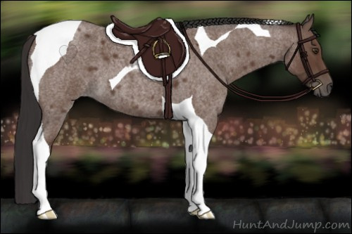 Horse Color:Bay Roan Tobiano 