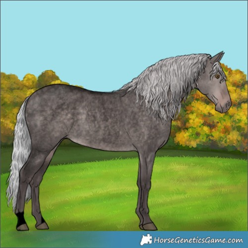 Horse Color:Void Platinum Silver Brown Roan Dun 