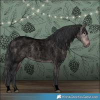 Horse Color:Void Platinum Brown Roan Dun 
