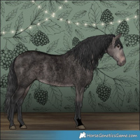 Horse Color:Void Platinum Brown Roan Dun 