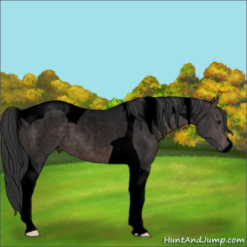 Horse Color:Void Platinum Brown Roan Tobiano 