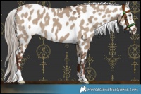 Horse Color:Liver Red Dun Near Leopard 