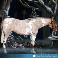 Horse Color:Silver Bay Roan Tobiano 