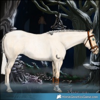 Horse Color:Silver Buckskin Roan Pearl 