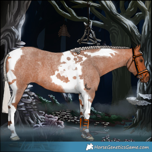Horse Color:Silver Bay Roan Tobiano 