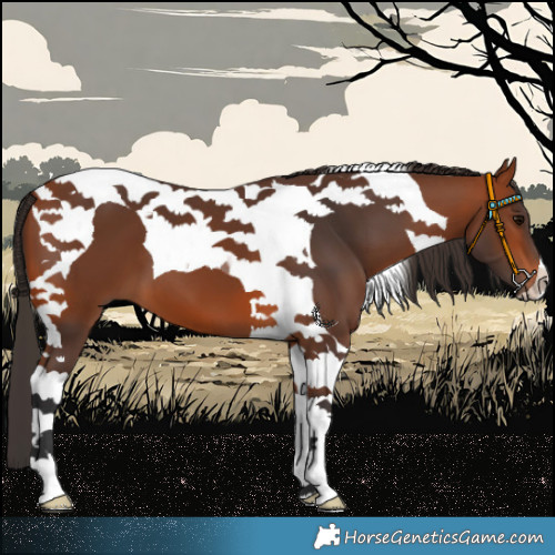 Horse Color:Bay Tobiano