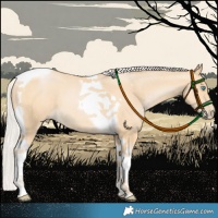 Horse Color:Silver Buckskin Pearl Tobiano 