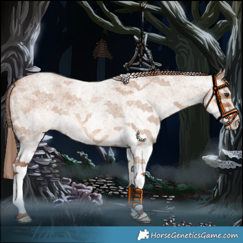 Horse Color:White Spotted Red Dun Roan 
