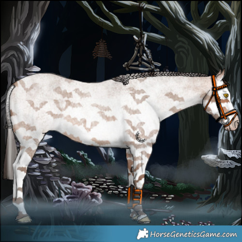 Horse Color:White Spotted Sable Champagne Roan Splash 