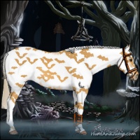 Horse Color:White Spotted Palomino Tobiano Frame 