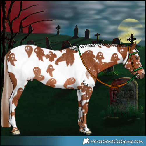 Horse Color:Chestnut Sabino Splash Tobiano Frame Rabicano