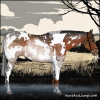 Horse Color:White Spotted Brown Tobiano Rabicano 