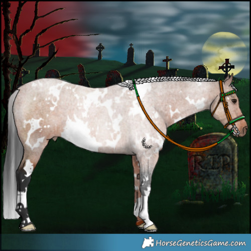 Horse Color:White Spotted Brown 