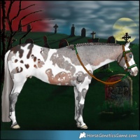 Horse Color:Brown Splash Blanket
