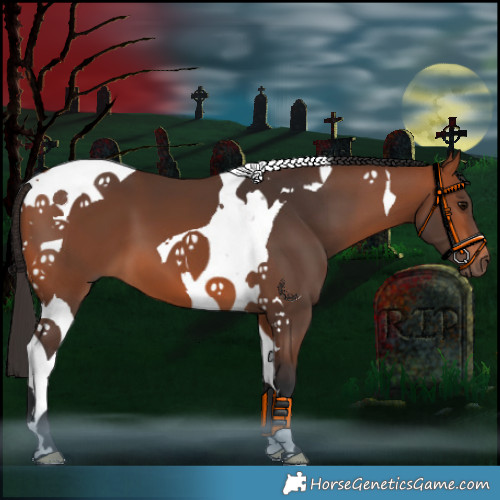 Horse Color:Bay Tobiano 
