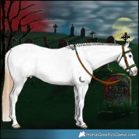 Horse Color:Chestnut Splash Tobiano Varnish 