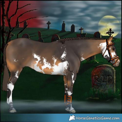 Horse Color:Buckskin Sabino 