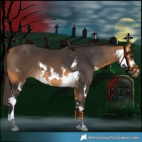 Horse Color:Buckskin Sabino 