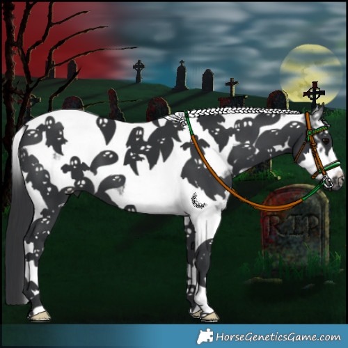 Horse Color:Black Sabino Tobiano Frame 