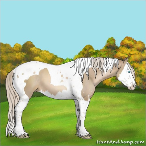 Horse Color:Chocolate Palomino Pearl Sabino Splash Tobiano 