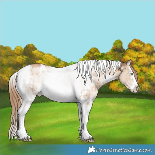 Horse Color:White Spotted Liver Red Dun Pearl Splash Tobiano Brindle 